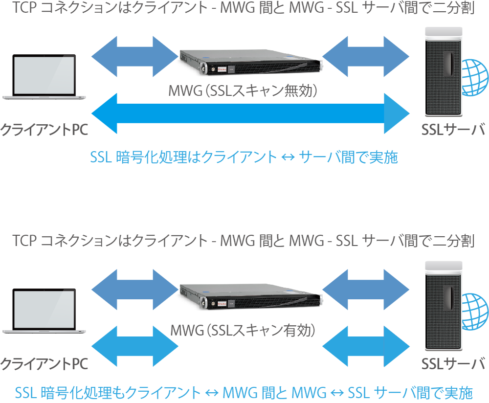信頼のSSLスキャニング機能